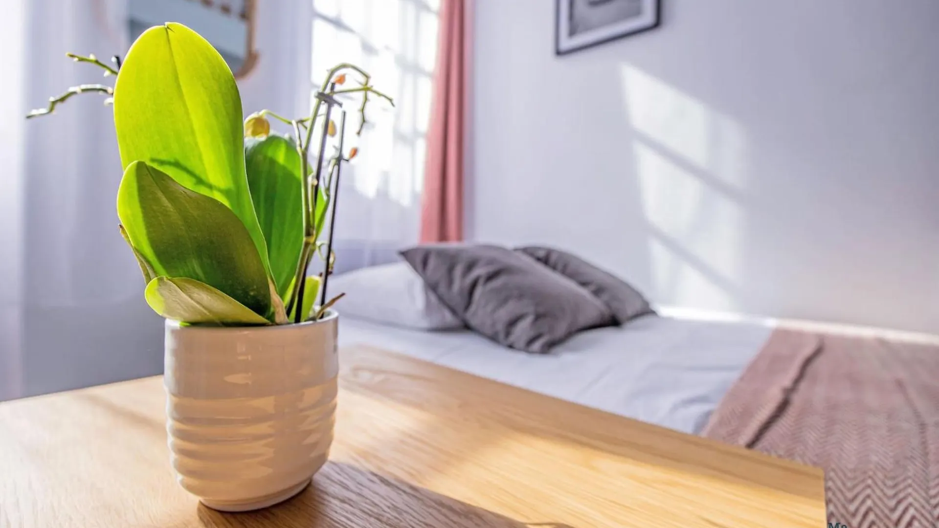 Duplex Champetre : Gare, Marche, Hypercentre Apartment Toulouse